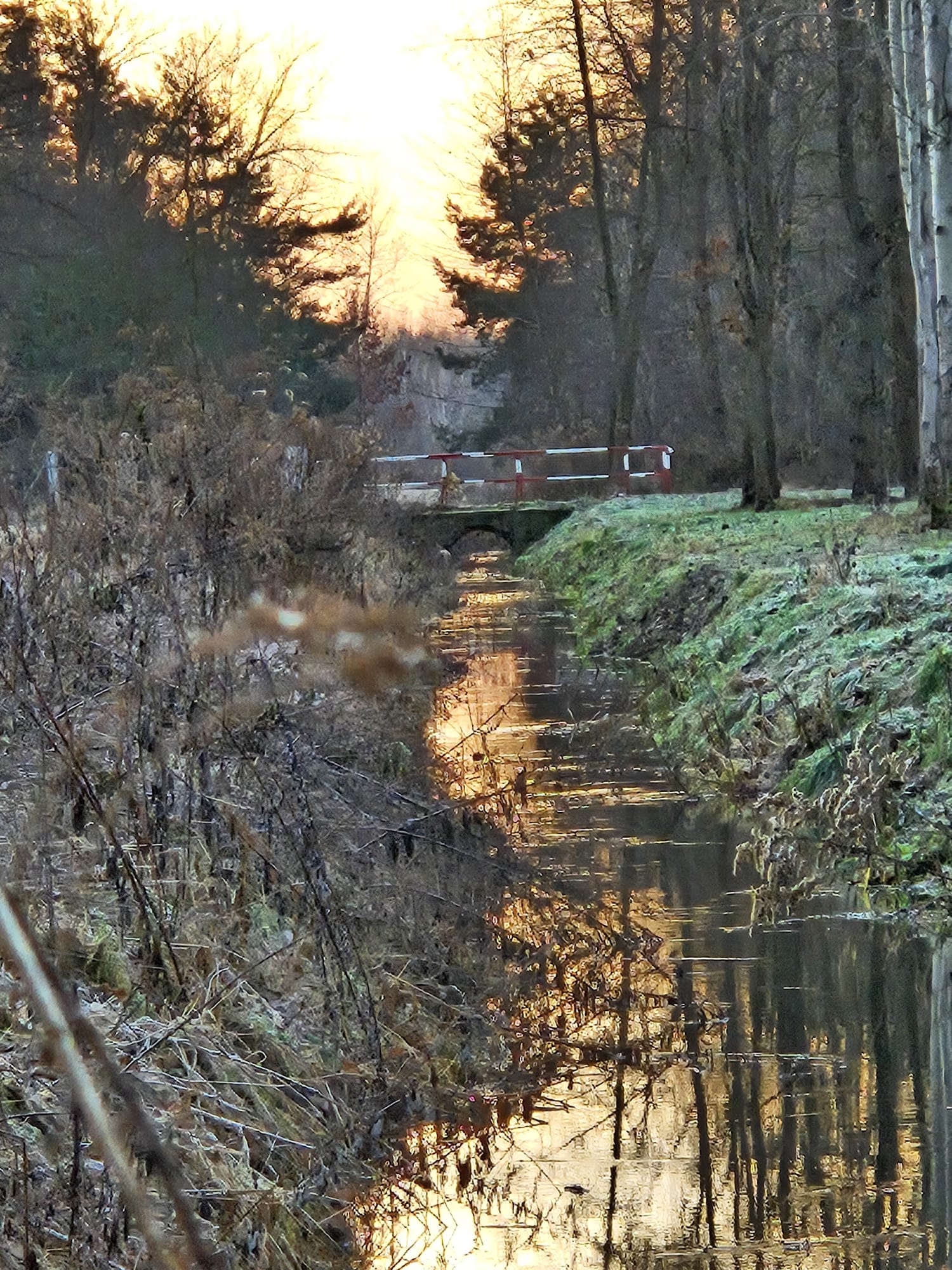 Poranne przymrozki nad wodą, Mazowsze, 28.12.2023 r. Fot. Izabela Adrian | IMGW-PIB