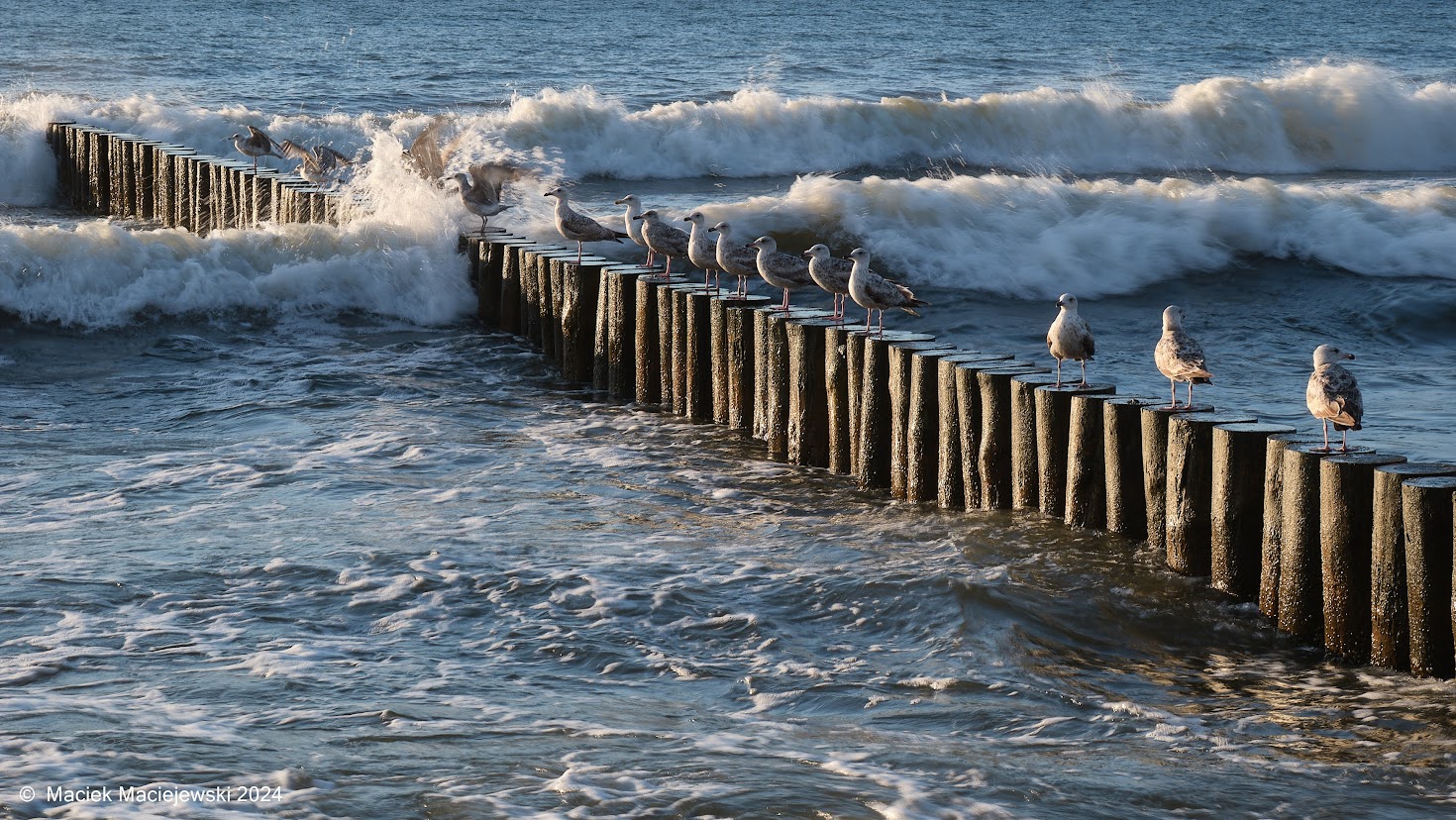 Morze Bałtyckie w Mielnie, 12.06.2024 r. Fot. Maciej Maciejewski 