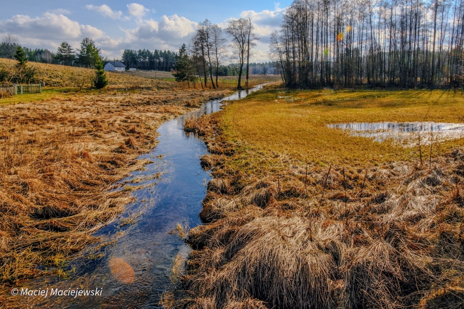 Podlasie, 26.02.2024 r., Fot. Maciej Maciejewski |IMGW-PIB
