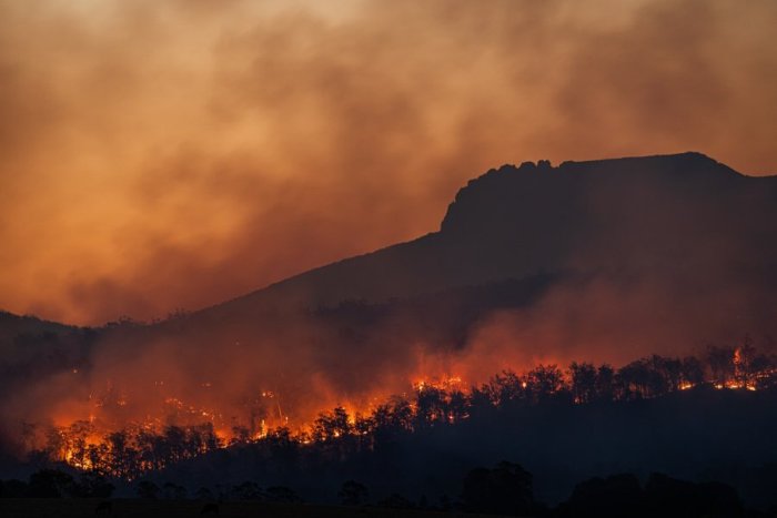 Pożar buszu, Tasmania, Australia. F. Matt Palmer on Unsplash.