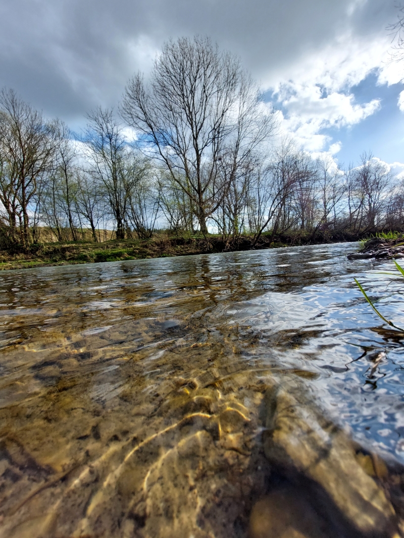 Rzeka Jasiołka (woj. podkarpackie). Fot. Wioletta Bogaczyk | IMGW-PIB 