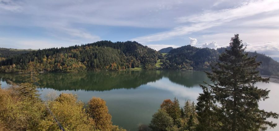 Widok na Jezioro Czorsztyńskie. Fot. Agnieszka Oborska-Byczek