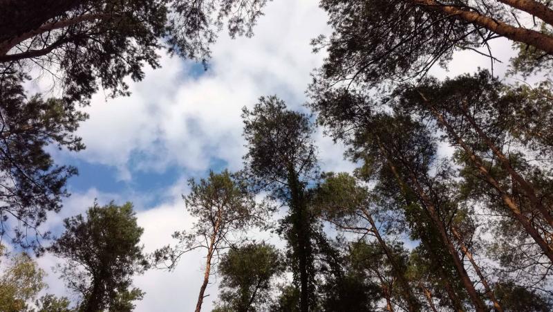 Prognoza Pogody Na Weekend 11 13 Wrzesnia 2020 Bedzie Cieplo I Slonecznie Instytut Meteorologii I Gospodarki Wodnej Panstwowy Instytut Badawczy