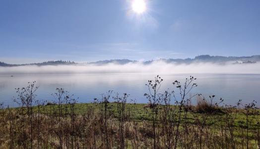 Mglisty poranek nad Jeziorem Czorsztyńskim. Fot. Diana Kopaczka