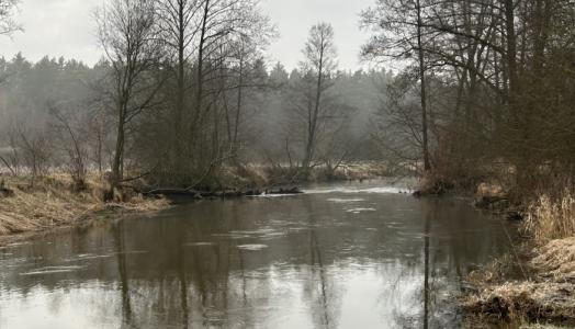 Rzeka Czarna. Fot. Łukasz Pietrzak | IMGW-PIB