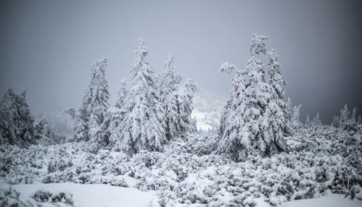 Karkonosze zimą. Fot. Piotr Krzaczkowski | IMGW-PIB