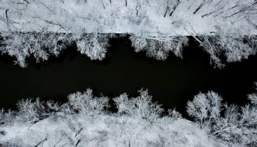 Fot. Aaron Burden, Unsplash. Zima, śnieg, mróz, drzewa.