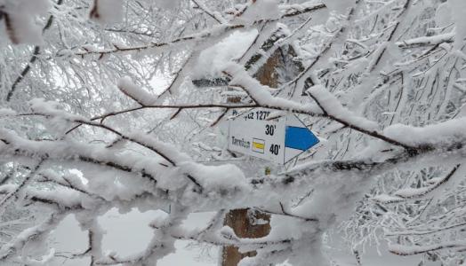 Zima w Bieszczadach. Fot. Wioletta Bogaczyk | IMGW-PIB