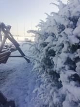 Śnieg na stacji meteorologicznej w Zamościu, 07.04.2021 r. Fot. Damian Ryszczuk | IMGW-PIB Zamość