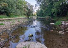 Rzeka Jasiołka (woj. podkarpackie), wrzesień 2022 r. Fot. Wioletta Bogaczyk | IMGW-PIB