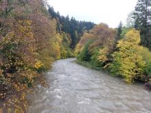 Rzeka Solinka w okolicach Terki, Bieszczady, 02.10.2022 r. Fot. Wioletta Bogaczyk | IMGW-PIB