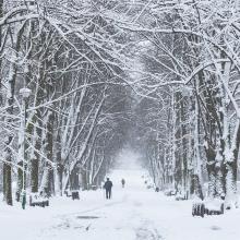 Zima w okolicach Białegostoku. Fot. Mateusz Zamajtys | IMGW-PIB