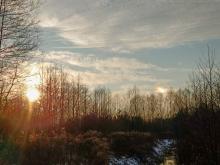 Zachód słońca oraz słońce poboczne obserwowane na Mazowszu, 09.02.2023 r. Fot. Izabela Adrian | IMGW-PIB