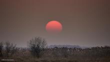 Marcowy zachód słońca nad Narwią. Fot. Maciej Maciejewski | IMGW-PIB